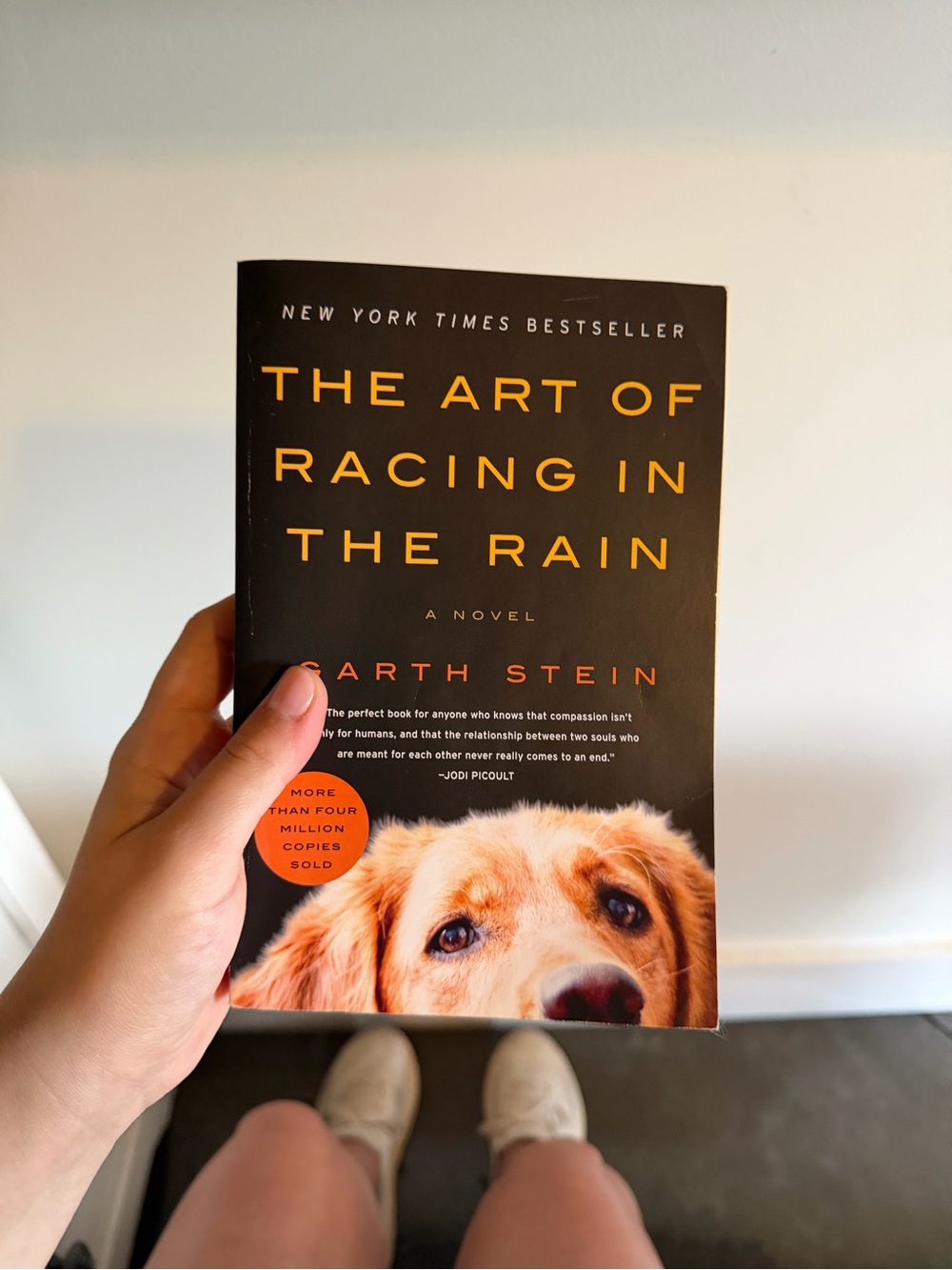 The Art of Racing in the Rain by Garth Stein